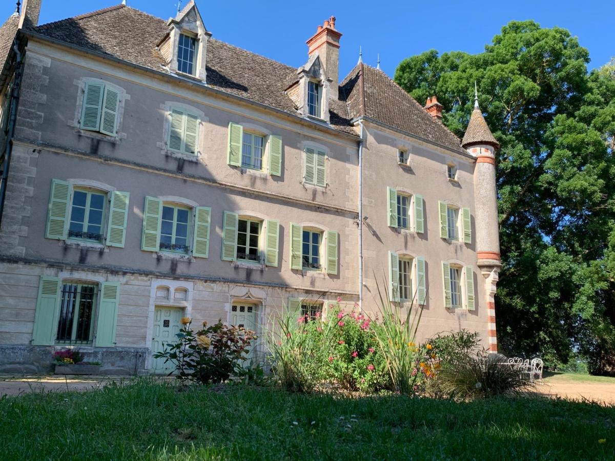 Chateau Du Mauny, Gites Et Chambres D'Hotes En Bourgogne Rosey Luaran gambar