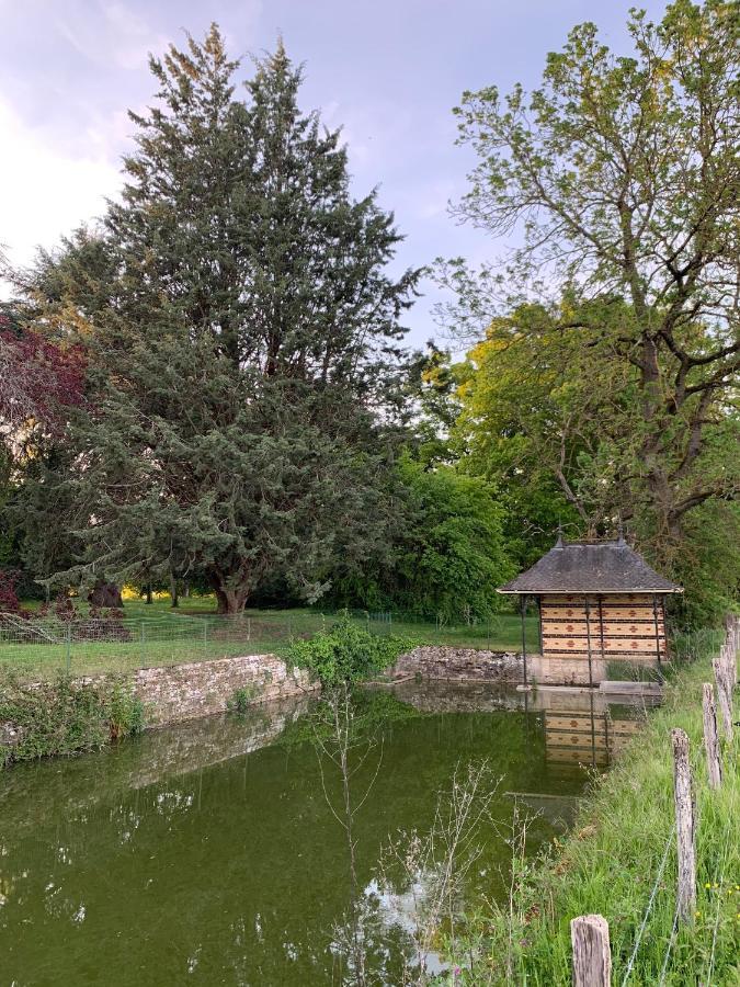 Chateau Du Mauny, Gites Et Chambres D'Hotes En Bourgogne Rosey Luaran gambar