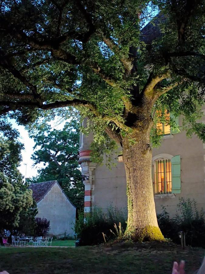 Chateau Du Mauny, Gites Et Chambres D'Hotes En Bourgogne Rosey Luaran gambar
